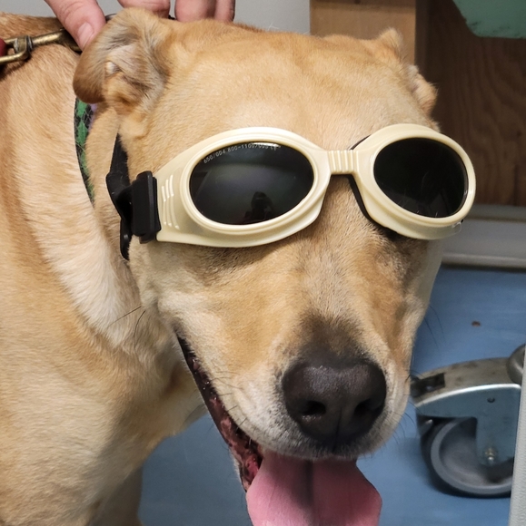 Live Show Reminder - Picture 1 of 1